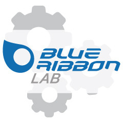 Interfacciamento software gestionale / sito ecommerce BlueRibbonLab